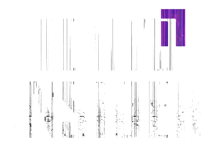 TOKYO INSIDER
